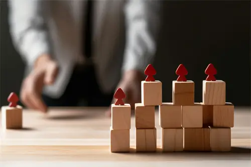 南通大学严蕾简介资料